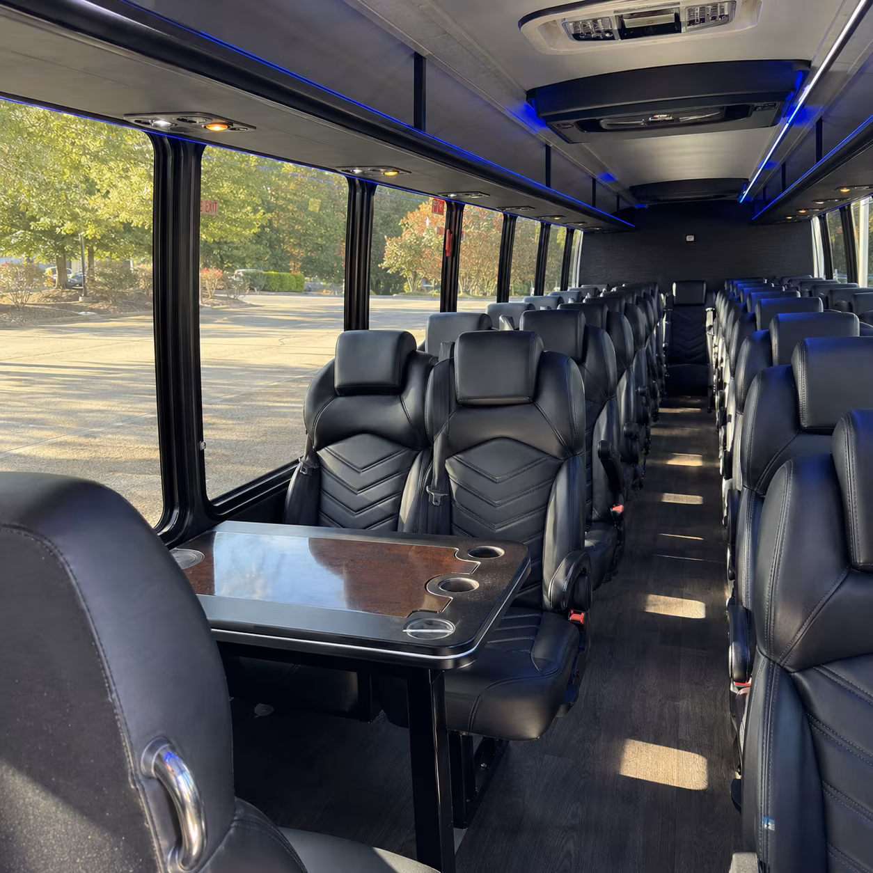 comparing rowlett buses made simple