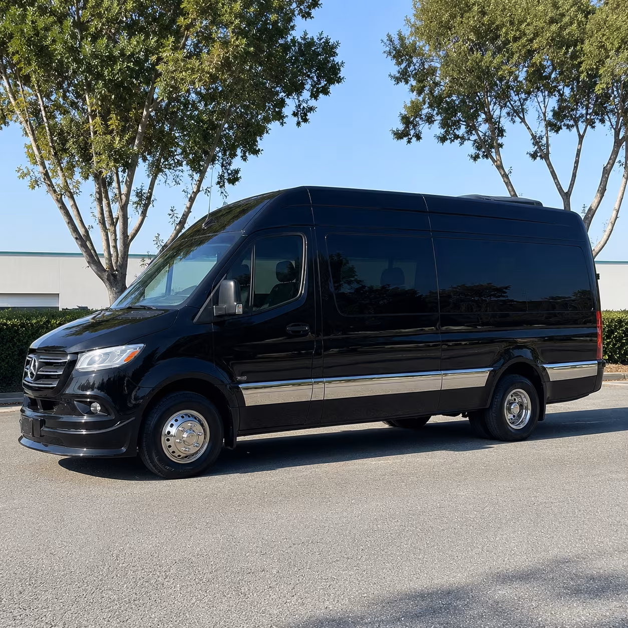 rowlett sprinter van with driver